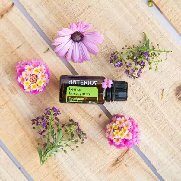 Essential oil doTERRA Lemon Eucalyptus (15ml